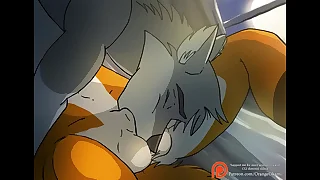 A Gay Foxy Blowjob - wits OrangeOkami &lpar;Furry Porn&rpar;